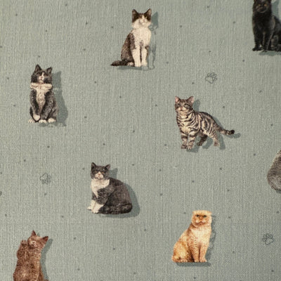 TELA ALGODON MUST GATOS
